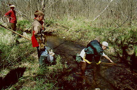 Taking width and depth measurements of the   trout stream.