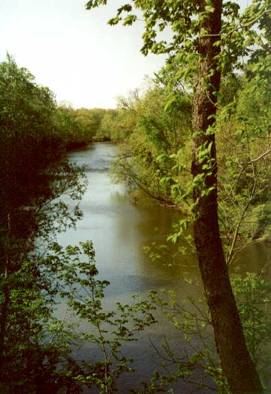 View of Thornapple River in Kent County